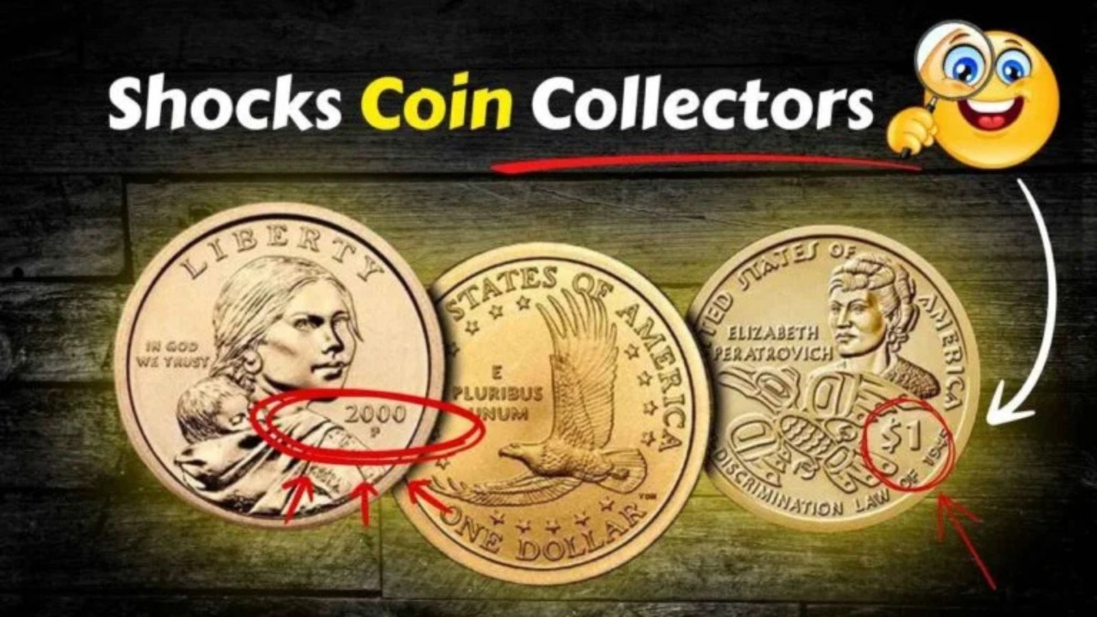 Rare Sacagawea Dollar Discovered in Library Book Shocks Coin Collectors