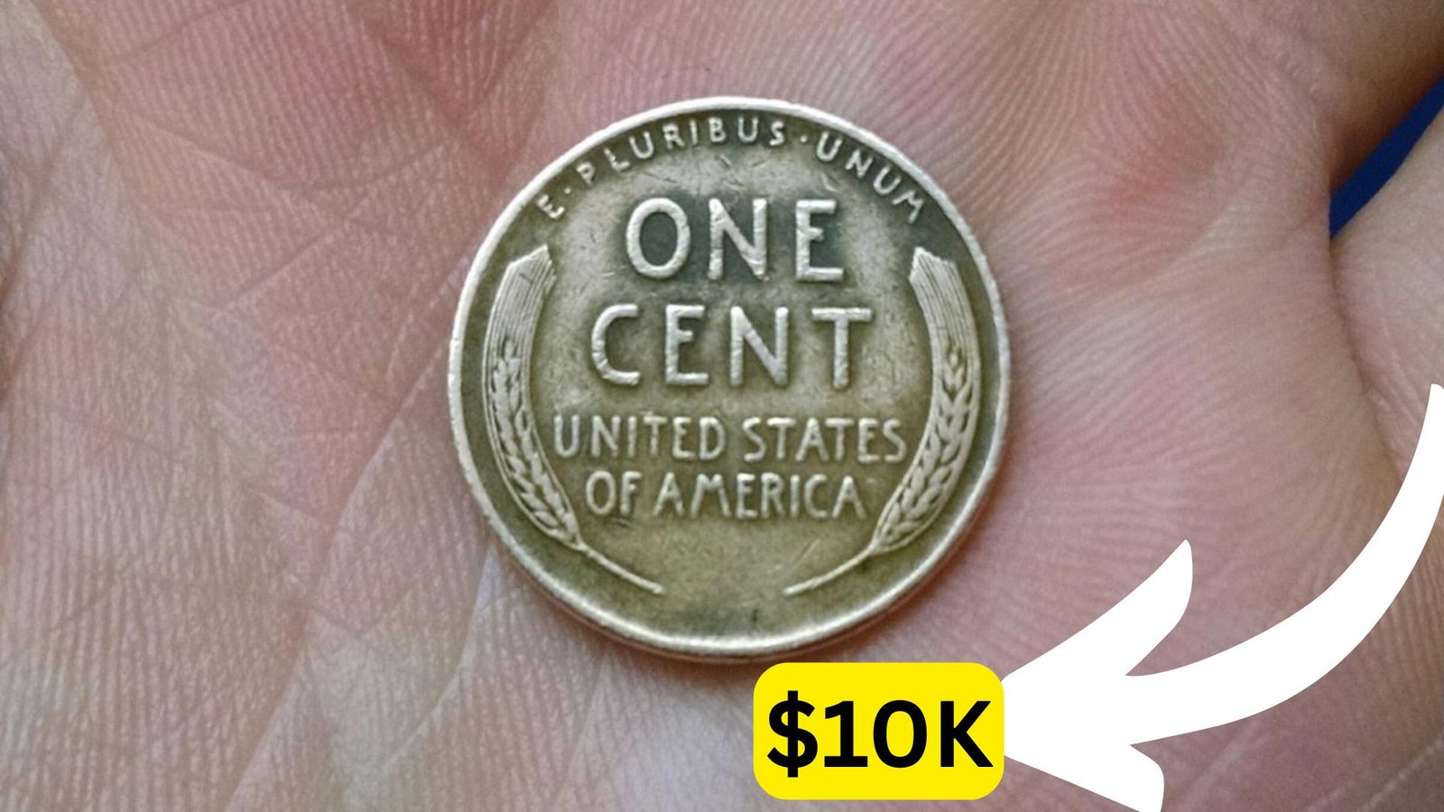 The Lincoln Wheat Penny Valued at $10K