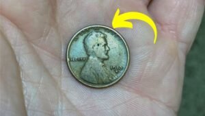 The Lincoln Wheat Penny Valued at $770K, Still in Circulation